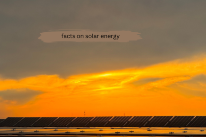Rows of solar panels stretching across a field under a vibrant orange sunset sky, with a 'facts on solar energy' text overlay