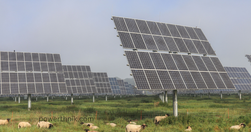 Large solar power tracker panels angled toward the sun in a green pasture with grazing sheep.